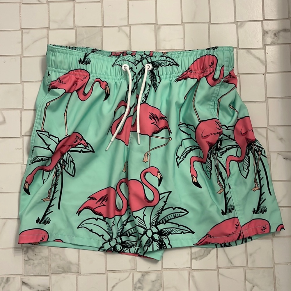 Flamingo Hollister Swim Trunks